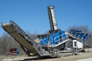 types of screening plants